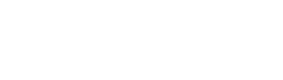 Hoogvliet